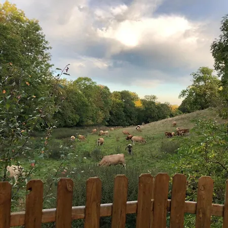Hébergement de vacances Les Lauzes Du Mas Marchastel (Cantal)