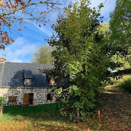 Hébergement de vacances Les Lauzes Du Mas Marchastel (Cantal)
